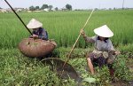 VIETNAM_-._agricoltori_poveri_rurali