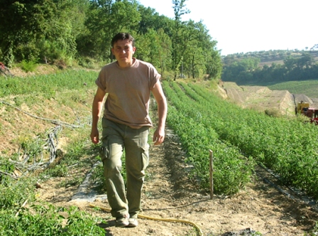 contadino_toscano_agricoltore_pomodori